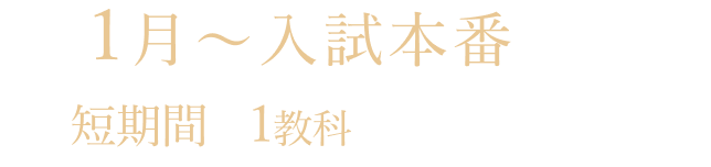 1月〜入試本番までの短期間／1教科から受講できます！